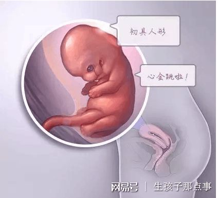 环境